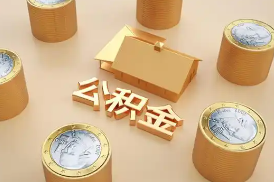 雅安退休公积金代办提取额度是多少？